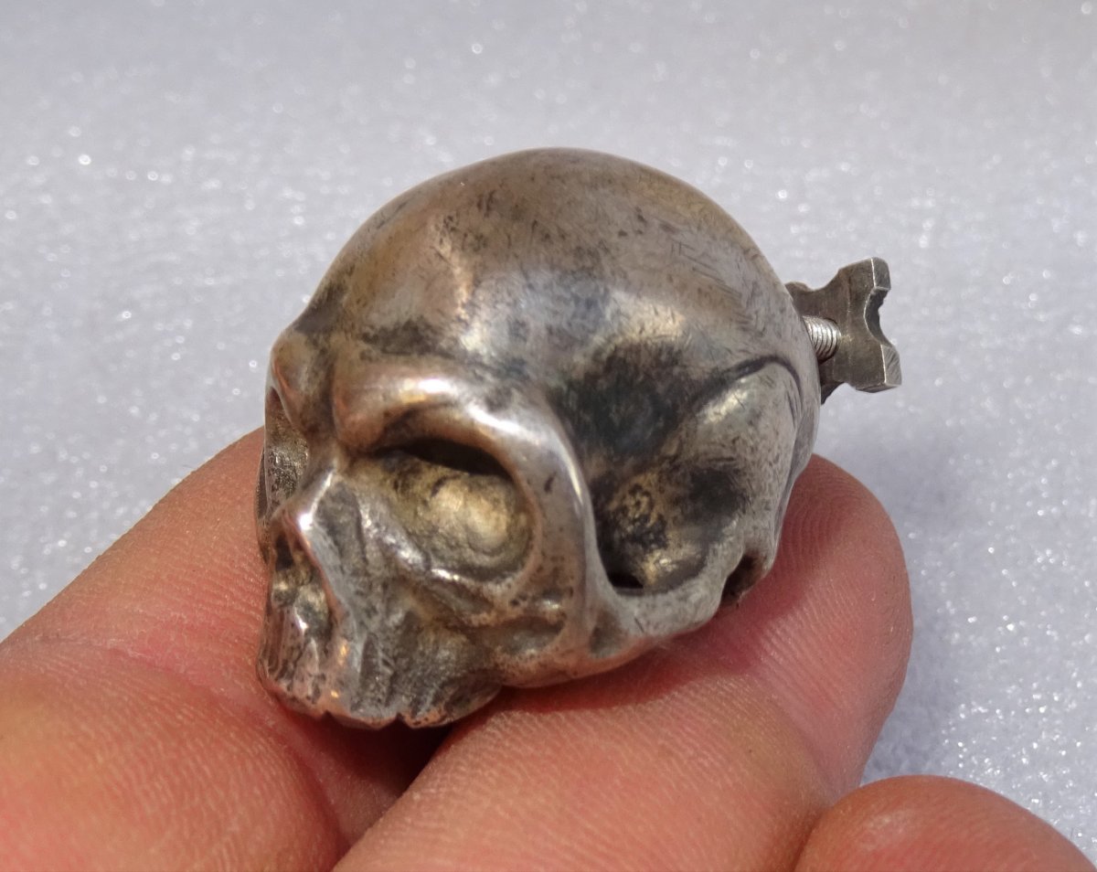 Mori Mementos In Silver Under Globe - Object Of Curiosity-photo-4