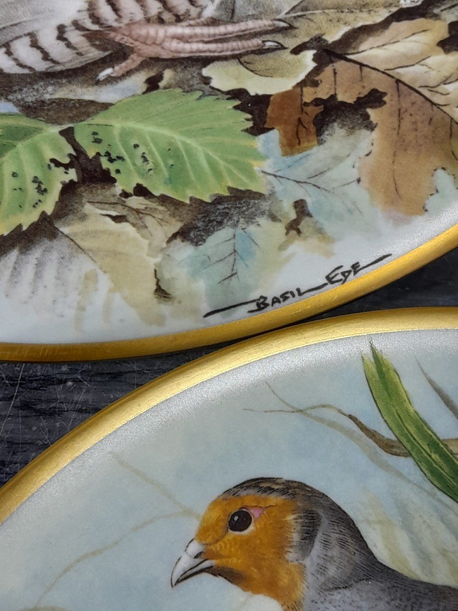 Haviland Plates, The Birds By Basil Ede-photo-2