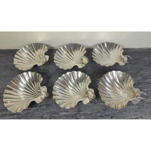 Odiot, Set Of 6 Scallops