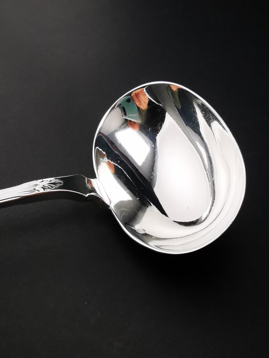 Puiforcat "modern Foliage" - 1 Sauce Spoon - Minerva Silver --photo-1