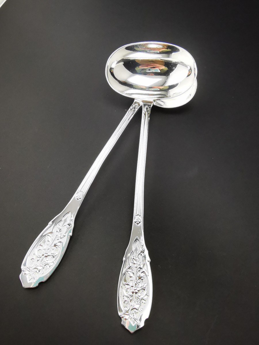 Puiforcat "modern Foliage" - 1 Sauce Spoon - Minerva Silver --photo-2