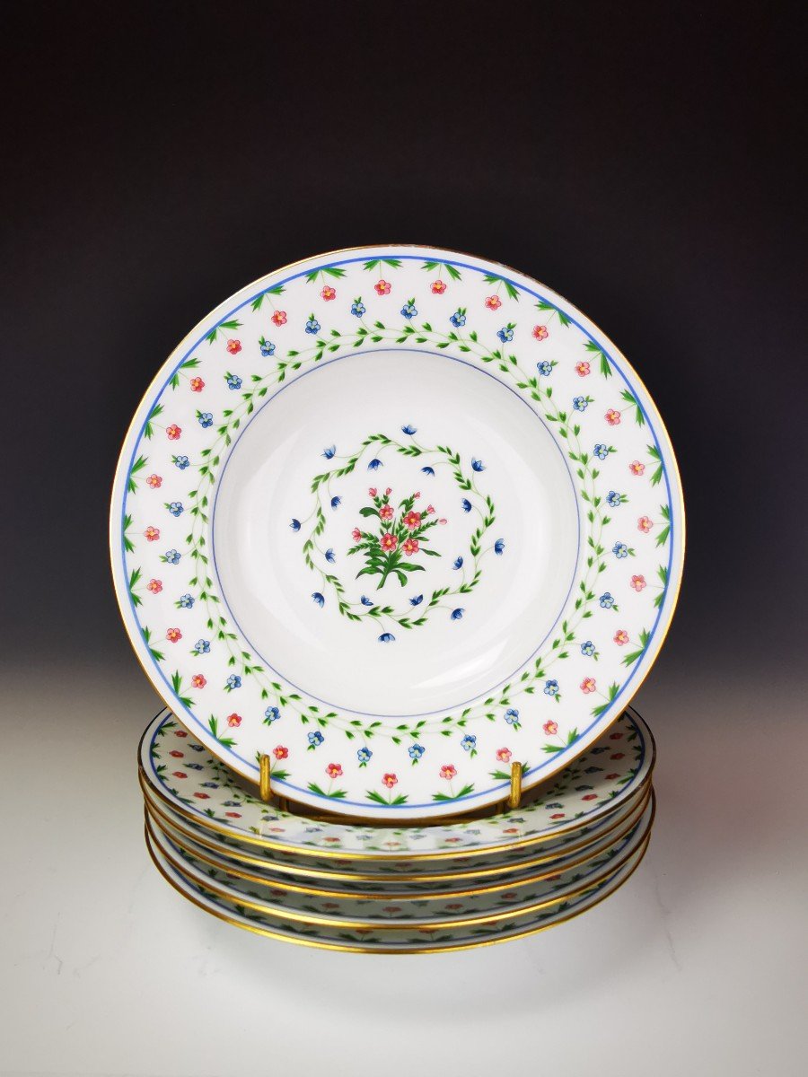 Limoges Céralene Sèvres "lafayette" - 6 Soup Plates - ø 22.5 Cm (raynaud)