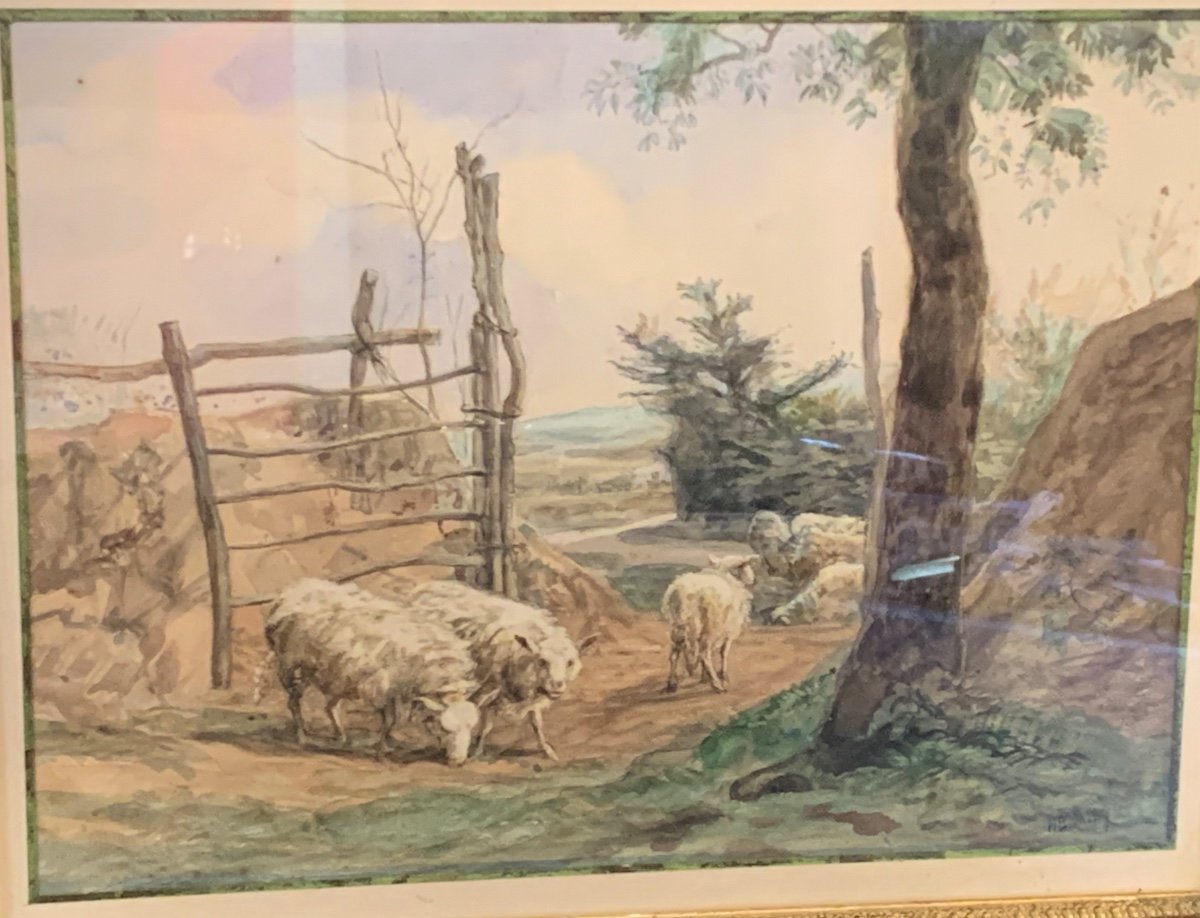 Moutons Dans Un Paysage Par H Bonnefoy-photo-2