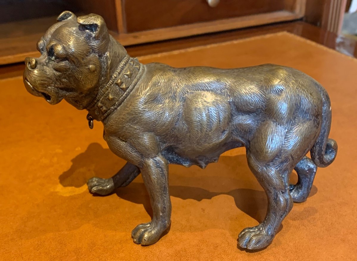 Chien En Bronze -photo-1