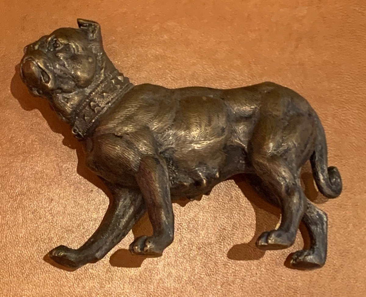 Chien En Bronze -photo-2