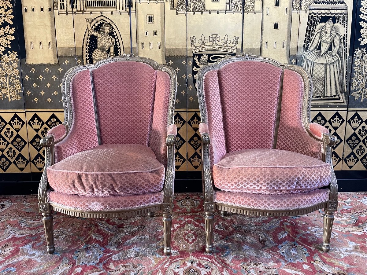 Pair Of Golden Louis XVI Style Bergeres