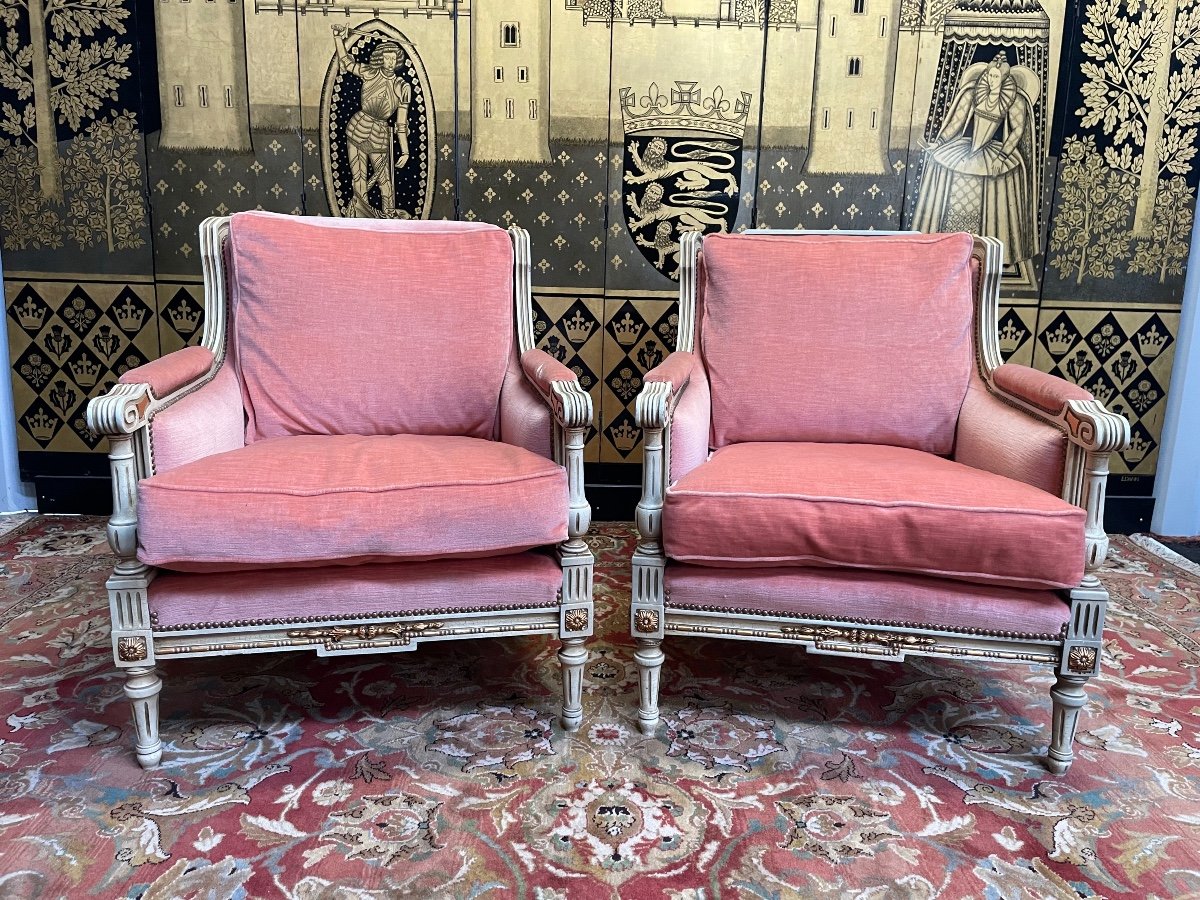 Pair Of Armchairs - Louis XVI Style Bergères