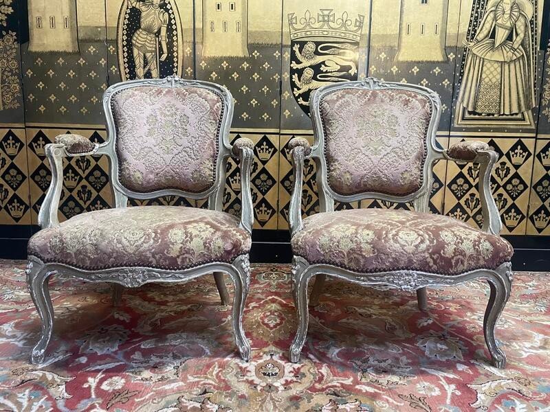 Pair Of Louis XV Style Genoa Velvet Cabriolet Armchairs