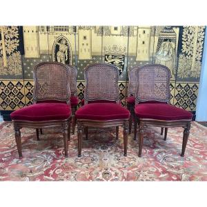 Suite De 6 Chaises De Style Louis XVI En Cannage 