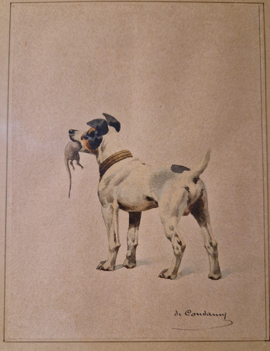 2 Aquarelles De Charles De Condamy Représentant Des Chiens Jack Russel -photo-2