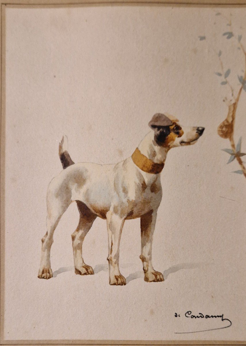 2 Aquarelles De Charles De Condamy Représentant Des Chiens Jack Russel -photo-3