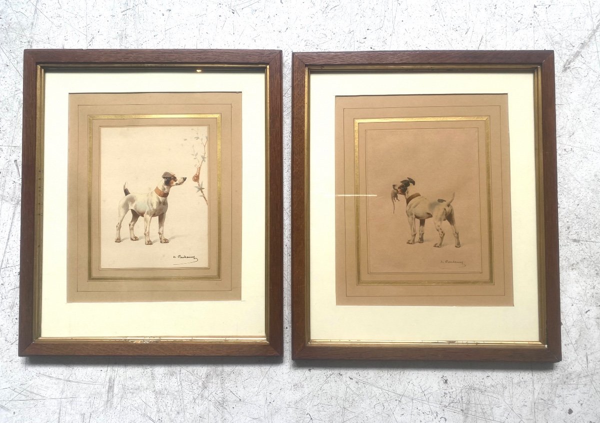 2 Aquarelles De Charles De Condamy Représentant Des Chiens Jack Russel 