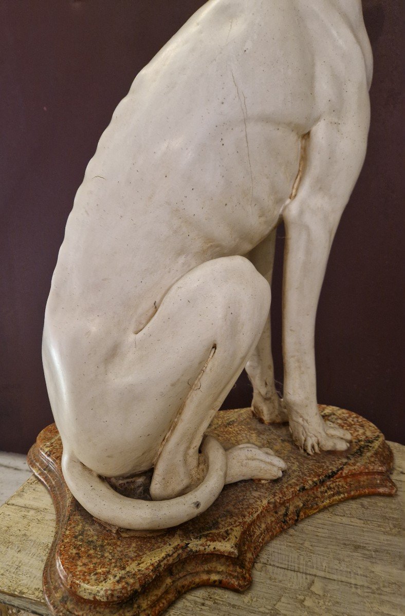 Superb Greyhound Seated In Carved Wood. -photo-3