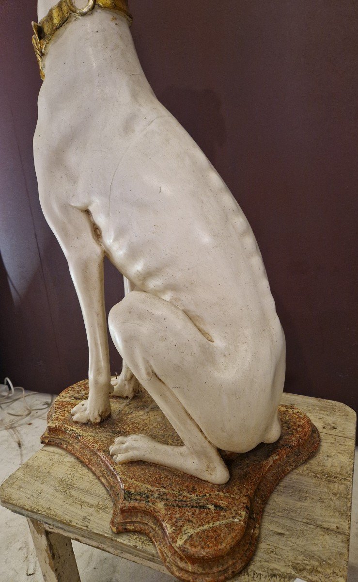 Superb Greyhound Seated In Carved Wood. -photo-4