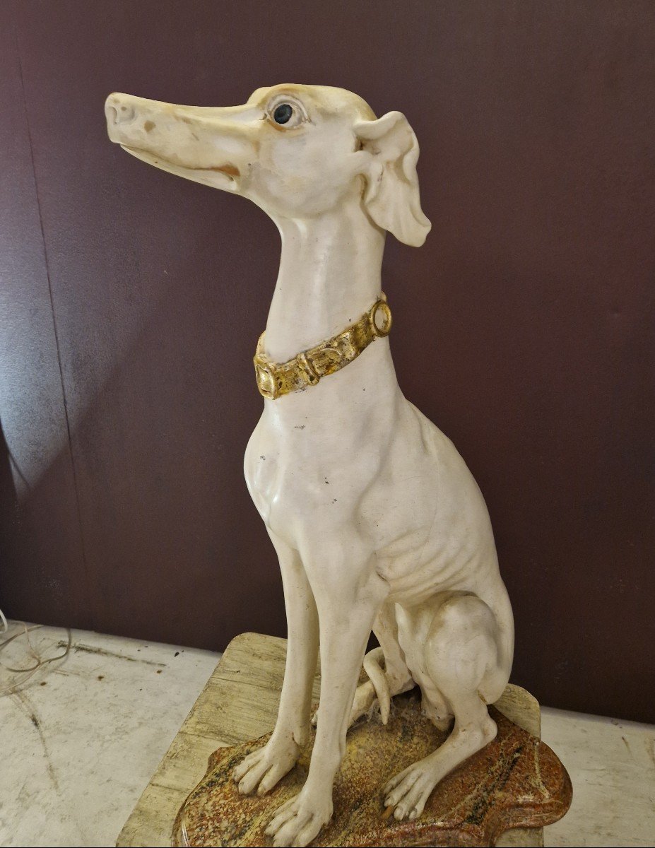 Superb Greyhound Seated In Carved Wood. -photo-5