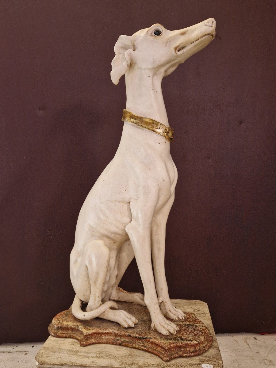 Superb Greyhound Seated In Carved Wood. 