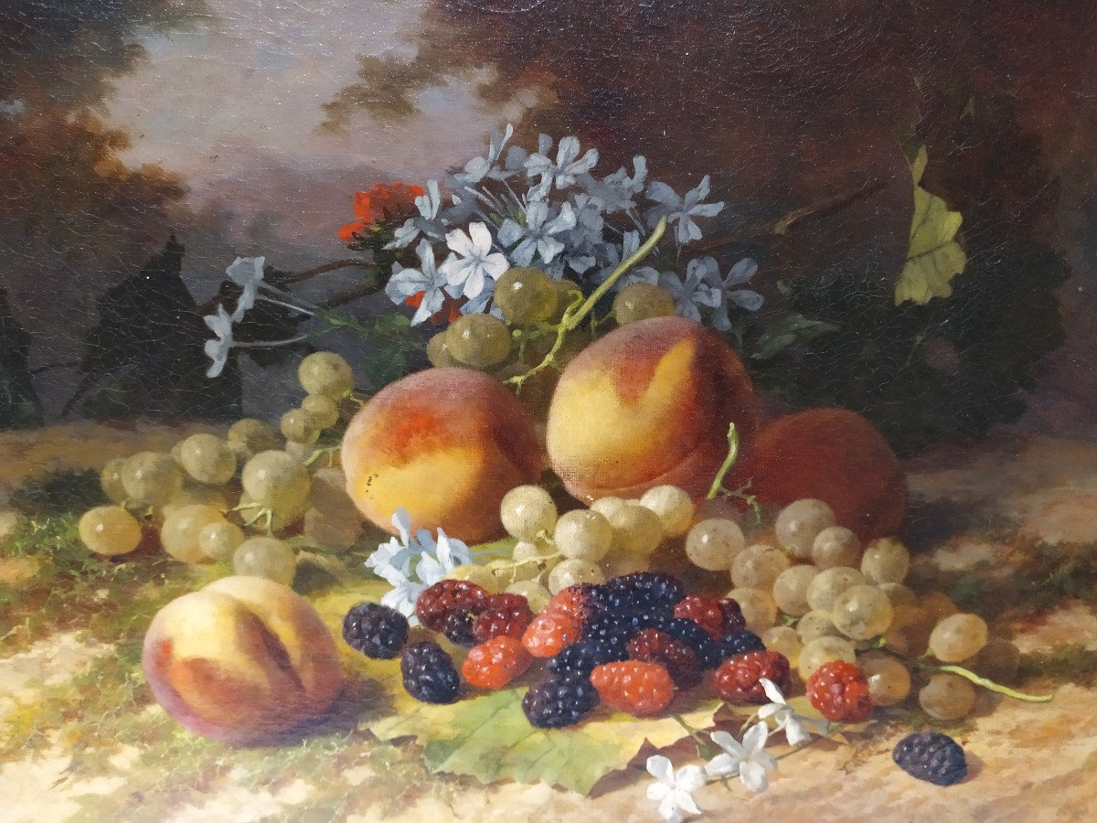 Huile Sur Toile- Nature Morte Aux Fruits Et Fleurs -david De Noter - XIXème-photo-1