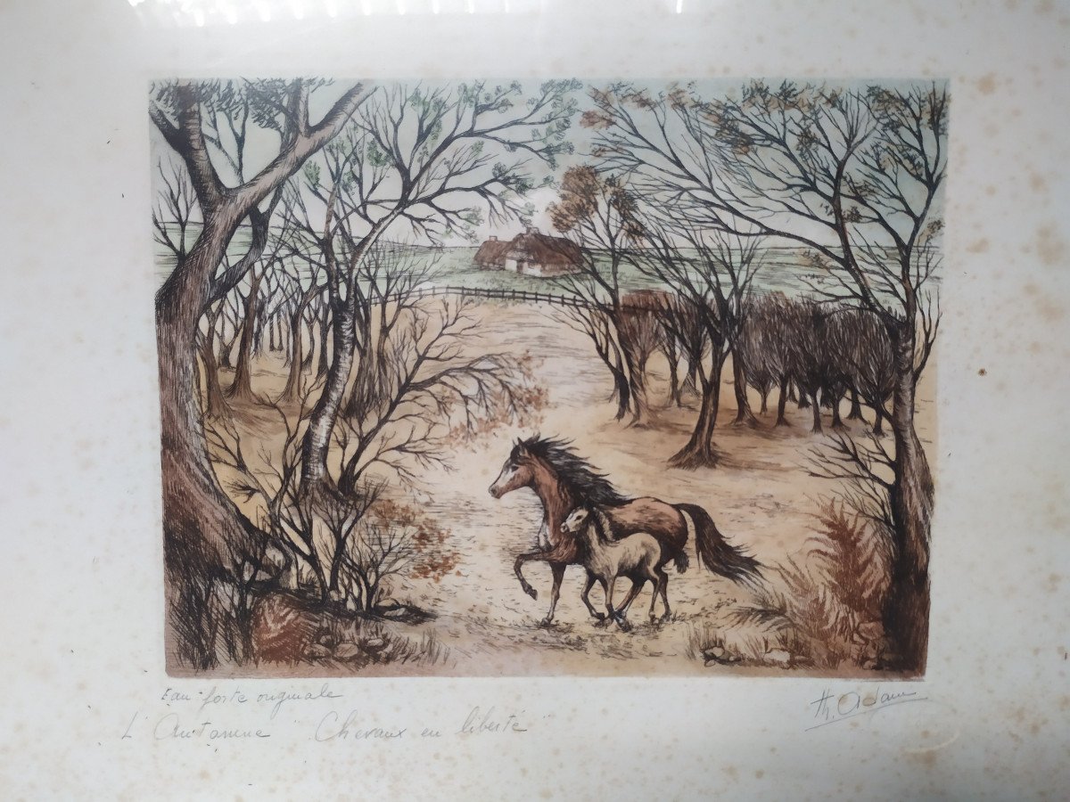 Original Strong Water – Horses In The Wild – Th Adam - 20th Century.-photo-2