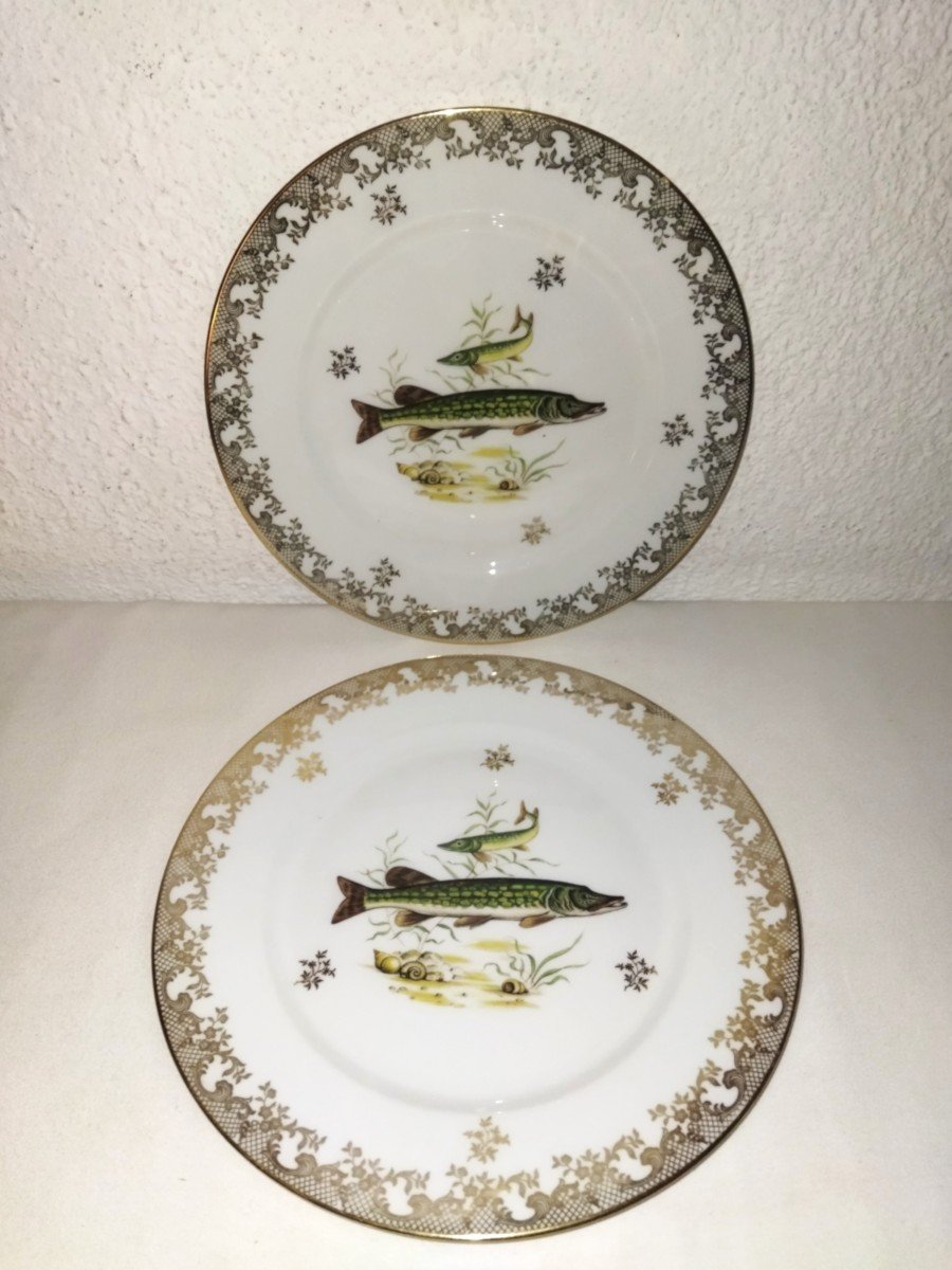 Giraud Limoges 6 Plates With Golden Rim And Fish Decor-photo-1