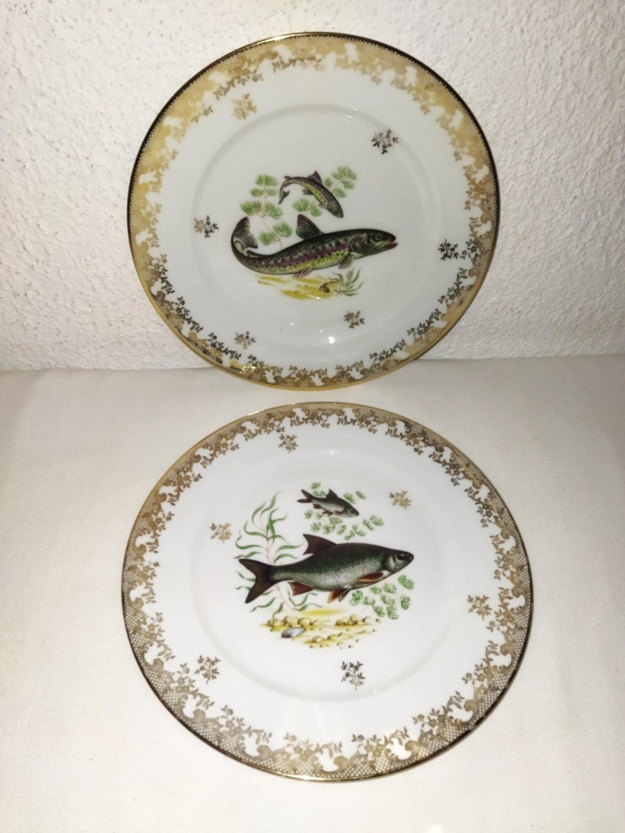 Giraud Limoges 6 Plates With Golden Rim And Fish Decor-photo-5