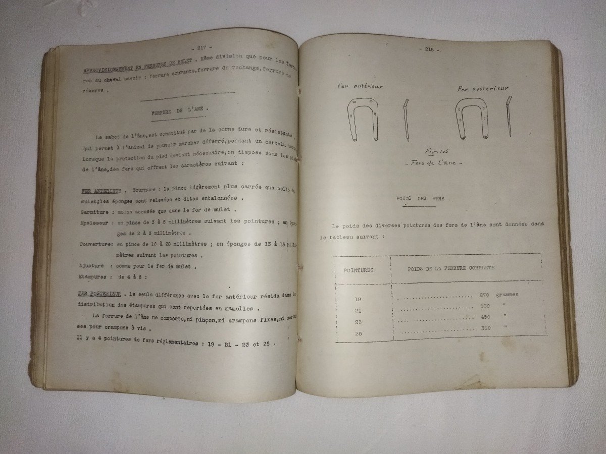 "military Farriery" Teaching To Veterinarians Assistant Majors 1920-photo-5