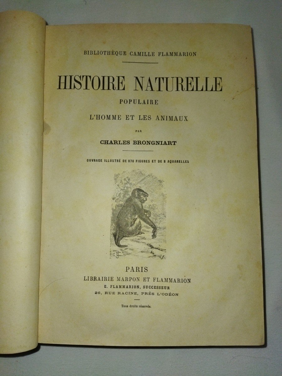 HISTOIRE NATURELLE POPULAIRE L'Homme et les Animaux Illustré Charles BRONGNIART -photo-4