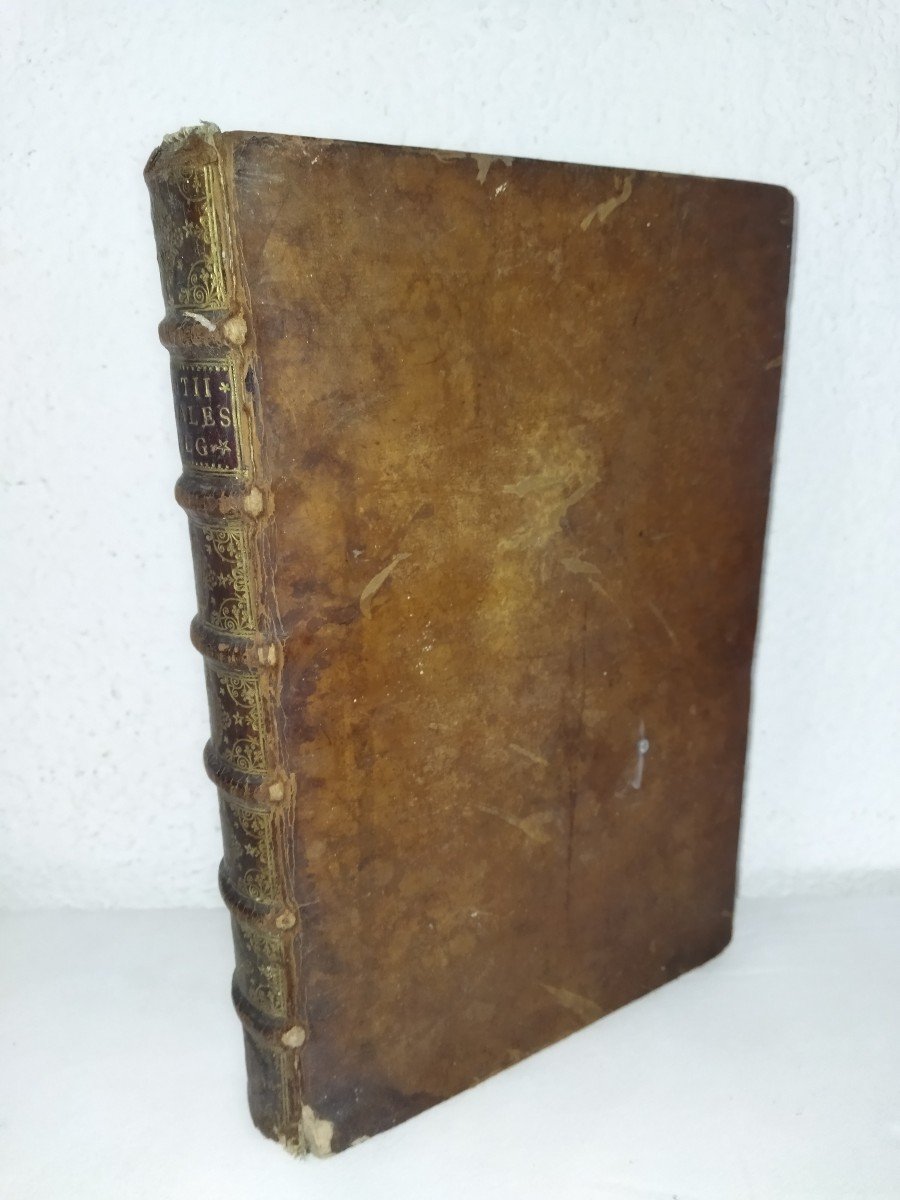 Annals And History Of Belgian Affairs By Hugo Grotius Amsterdam 1657