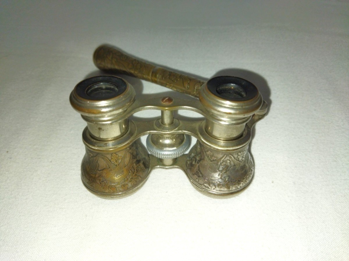 Opera Theater Pair Of Binoculars Floral Decor Art Nouveau Display Case Collectible-photo-3