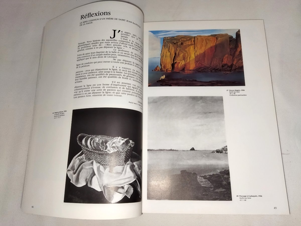 Salvador Dali Retrospective 1920-1980 Centre Georges Pompidou Art Book Collection-photo-1