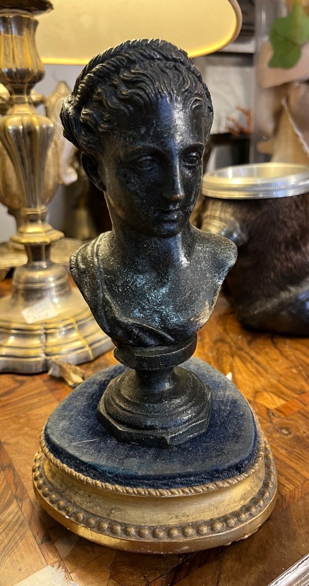 Bronze Bust Of A Young Man In The Antique Style. 19th Century.-photo-1