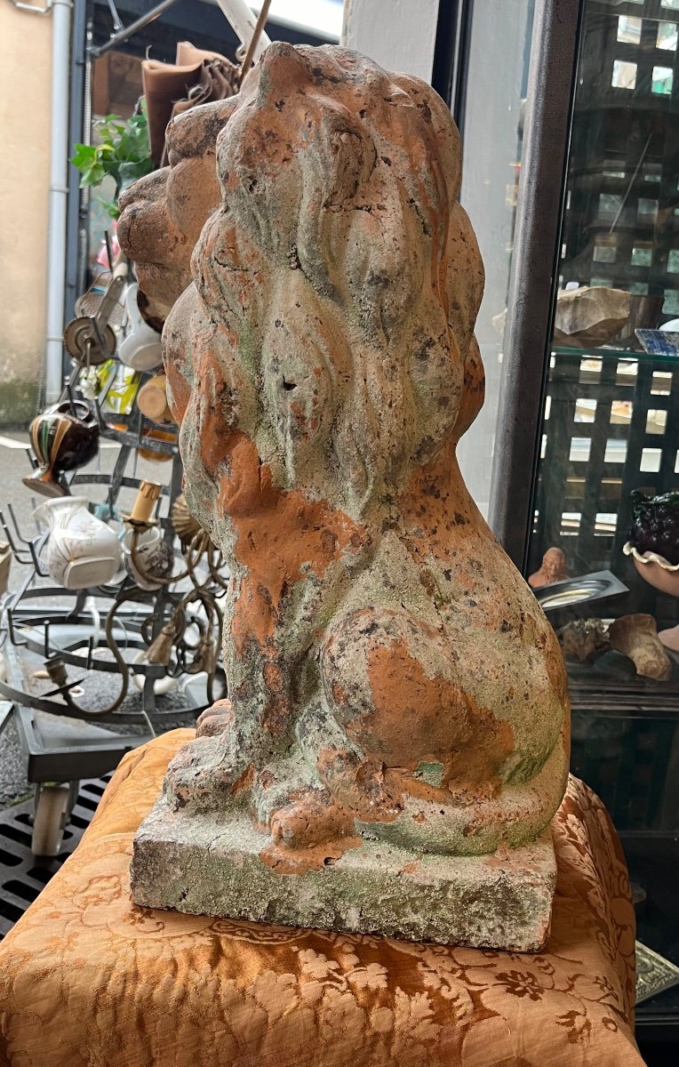 Beautiful Terracotta Lion Statue. Antique. France.-photo-2