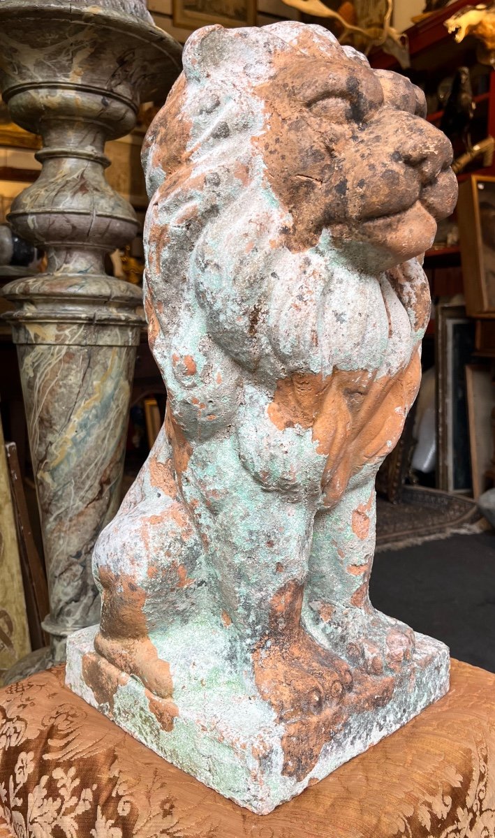 Beautiful Terracotta Lion Statue. Antique. France.-photo-3