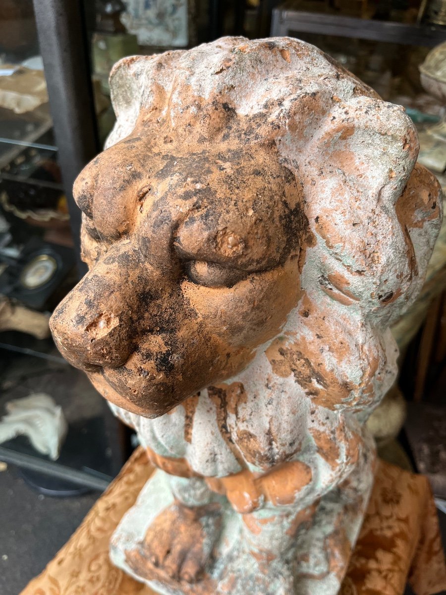 Beautiful Terracotta Lion Statue. Antique. France.-photo-4