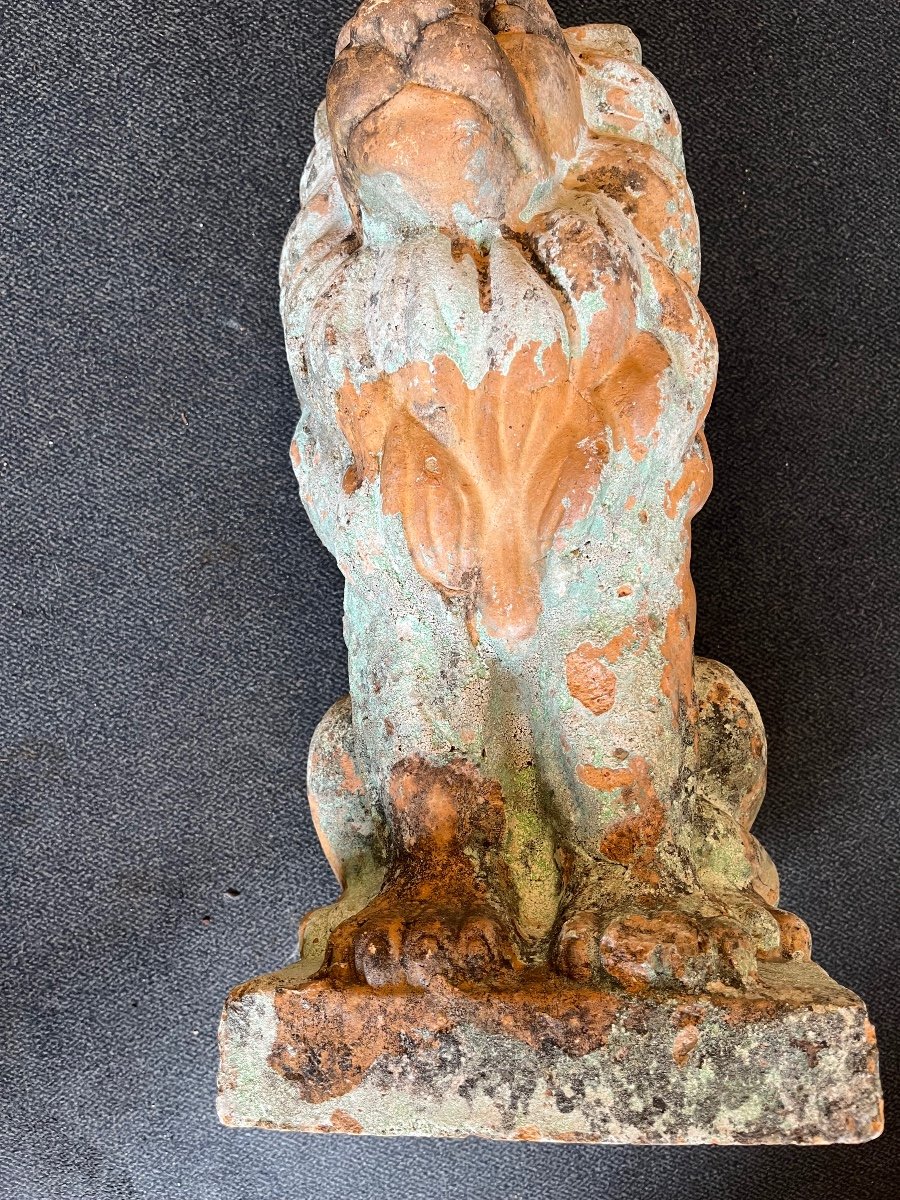 Beautiful Terracotta Lion Statue. Antique. France.-photo-3