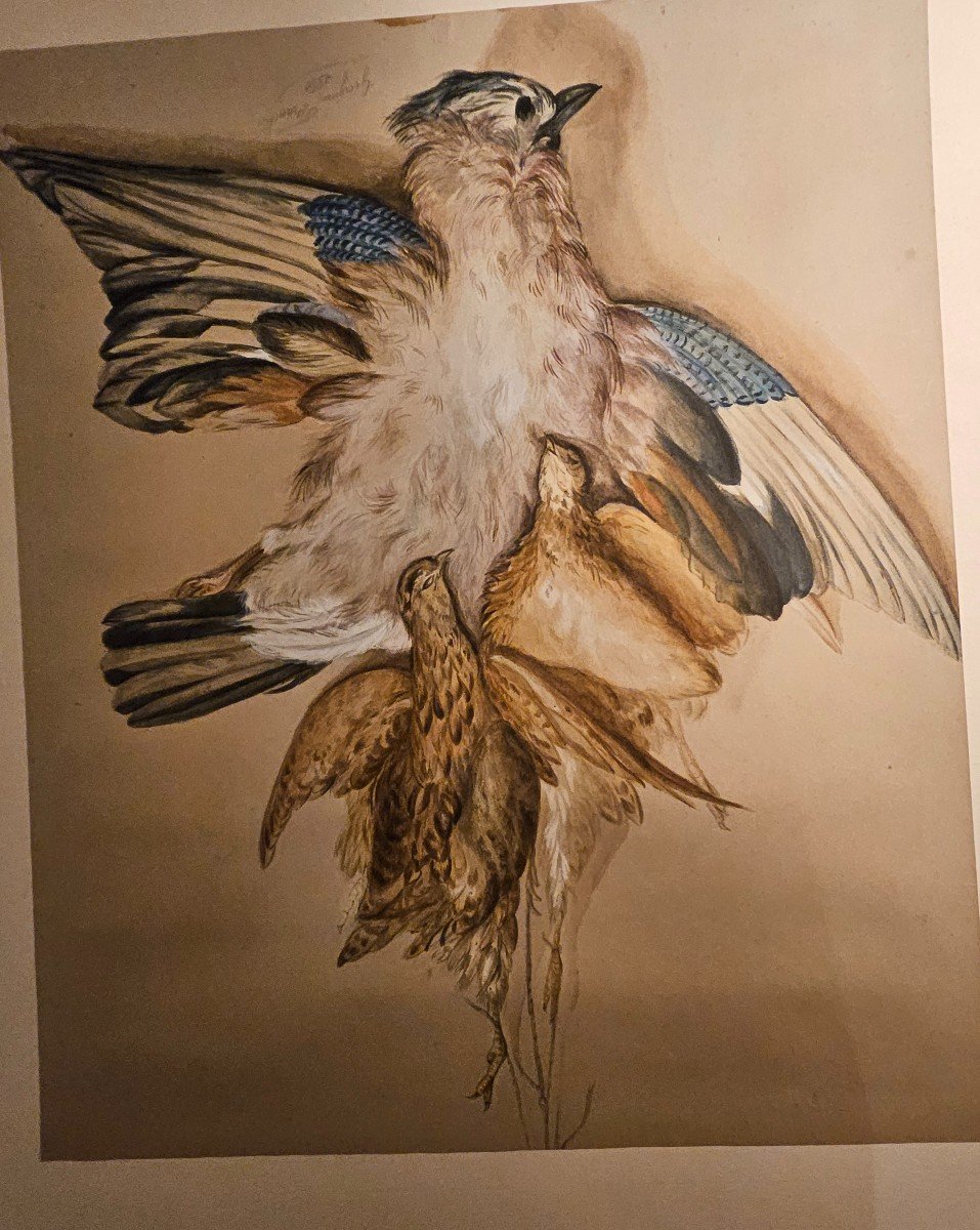 Grande Gouache Représentant Un Trophée De Chasse. Oiseaux. 20 éme Siecle