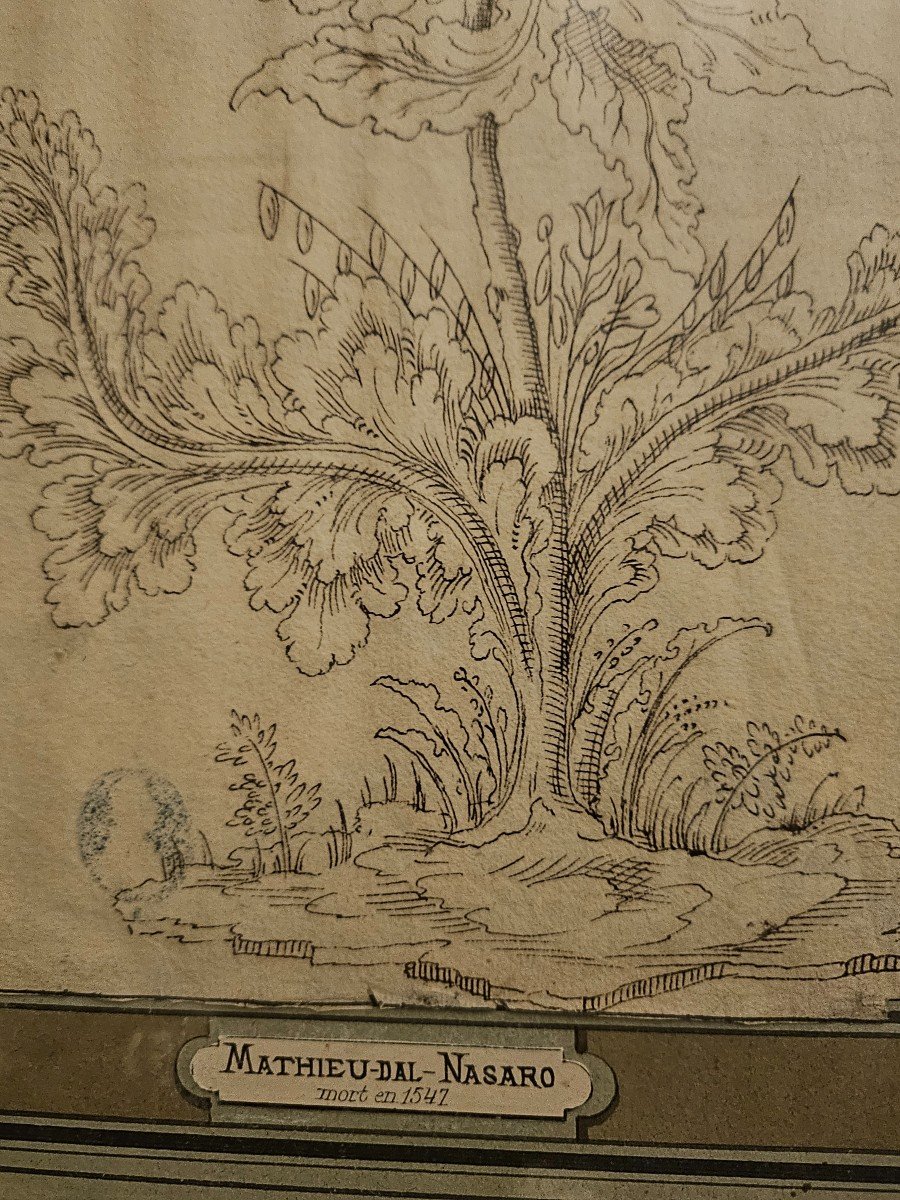 Interesting Drawing, 17th Century, Imaginary Plant, Black Ink, Attributed To Matteo Del Nasaro.-photo-3