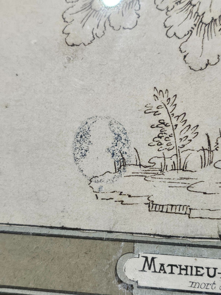 Interesting Drawing, 17th Century, Imaginary Plant, Black Ink, Attributed To Matteo Del Nasaro.-photo-2