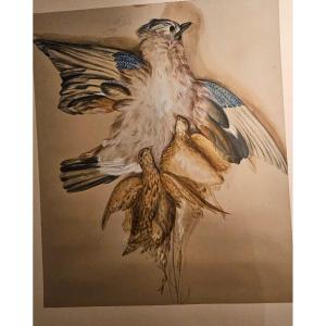 Grande Gouache Représentant Un Trophée De Chasse. Oiseaux. 20 éme Siecle