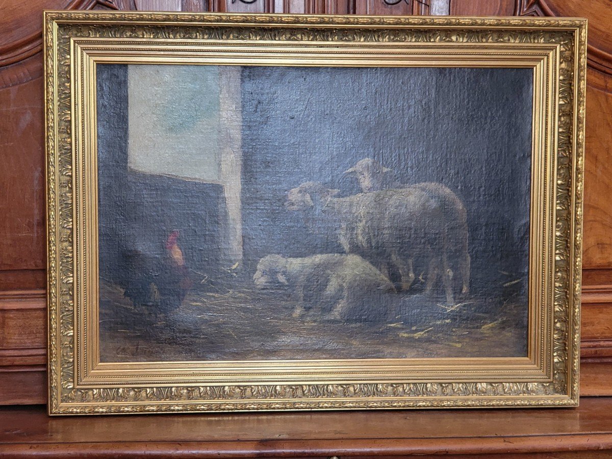 Oil Painting Representing Sheep