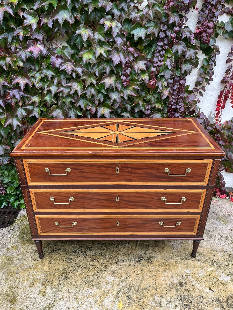 Commode Louis XVI En Marqueterie XIXème 