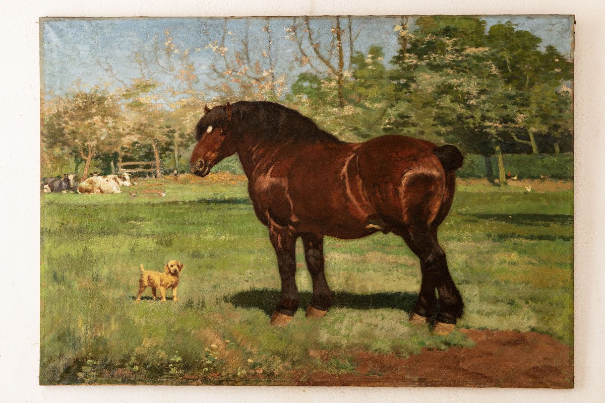 Belgique - Clarys Alexandre (1857 – 1920) – Cheval De Trait Flamand– Signé Et Daté