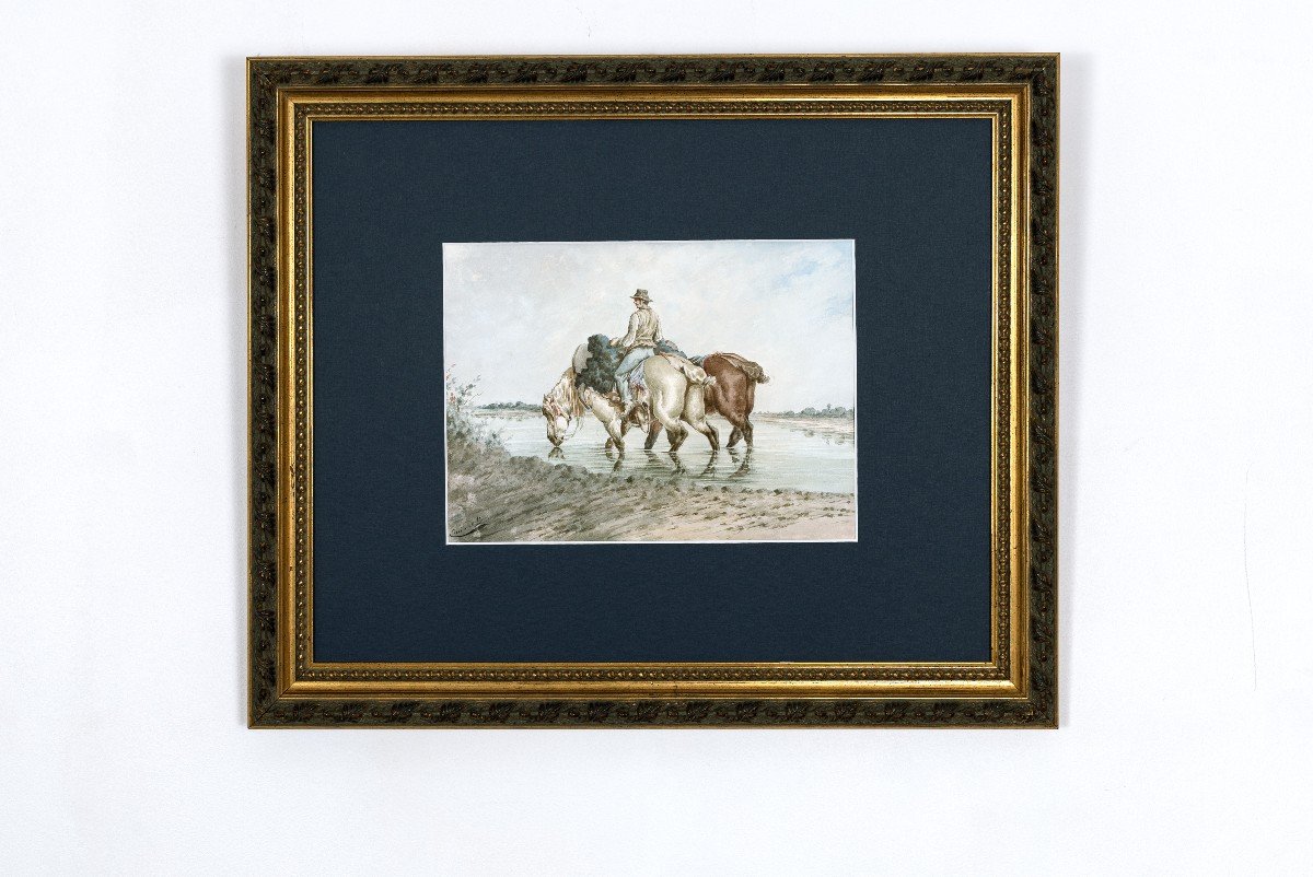 Jolly Emile – Man Driving 2 Horses Into Water – Watercolor – Circa 1880 - Signed  -photo-5