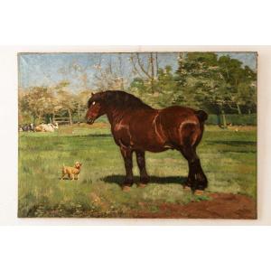 Peintre Animalier - Clarys Alexandre (1857 – 1920) – Cheval De Trait Flamand– Signé Et Daté