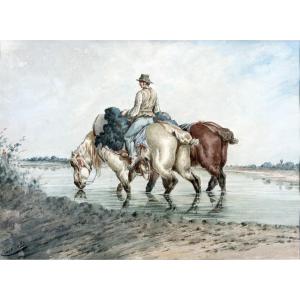 Jolly Emile – Homme Conduisant 2 Chevaux Dans L’eau – Aquarelle – Circa 1880 - Signé  