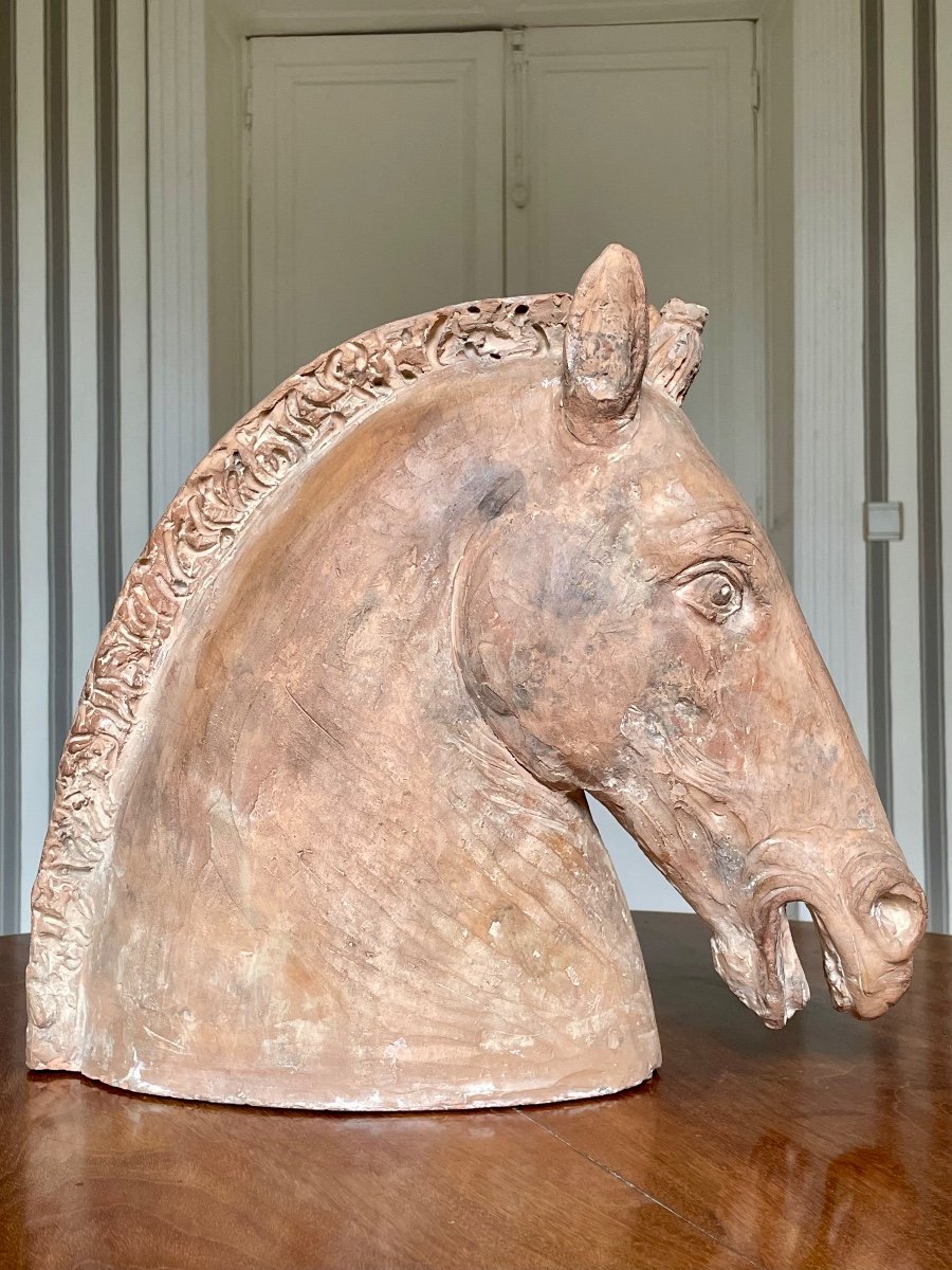 Neoclassical Terracotta Horse Head -photo-2