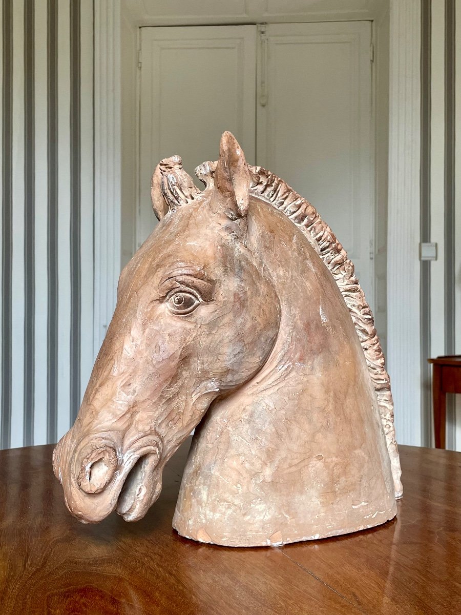 Neoclassical Terracotta Horse Head -photo-3