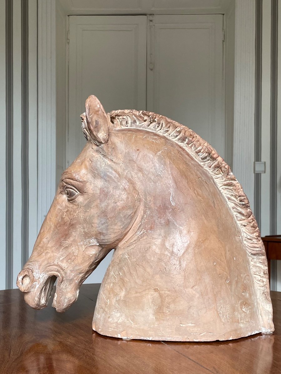 Neoclassical Terracotta Horse Head 