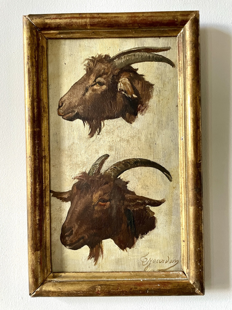 Studies Of Goats By Théodore Jourdan (1833-1906)