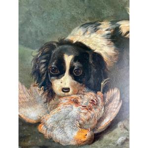 Spaniel After Hunting