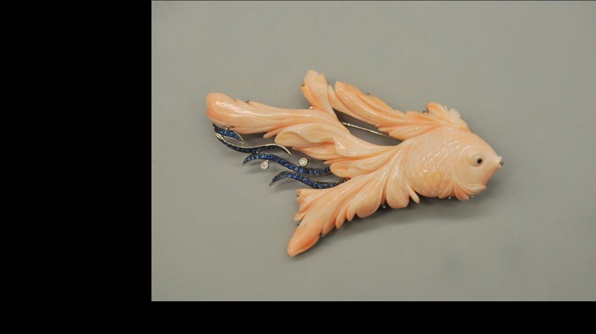 Large Angel Skin Coral Fish Brooch -photo-3